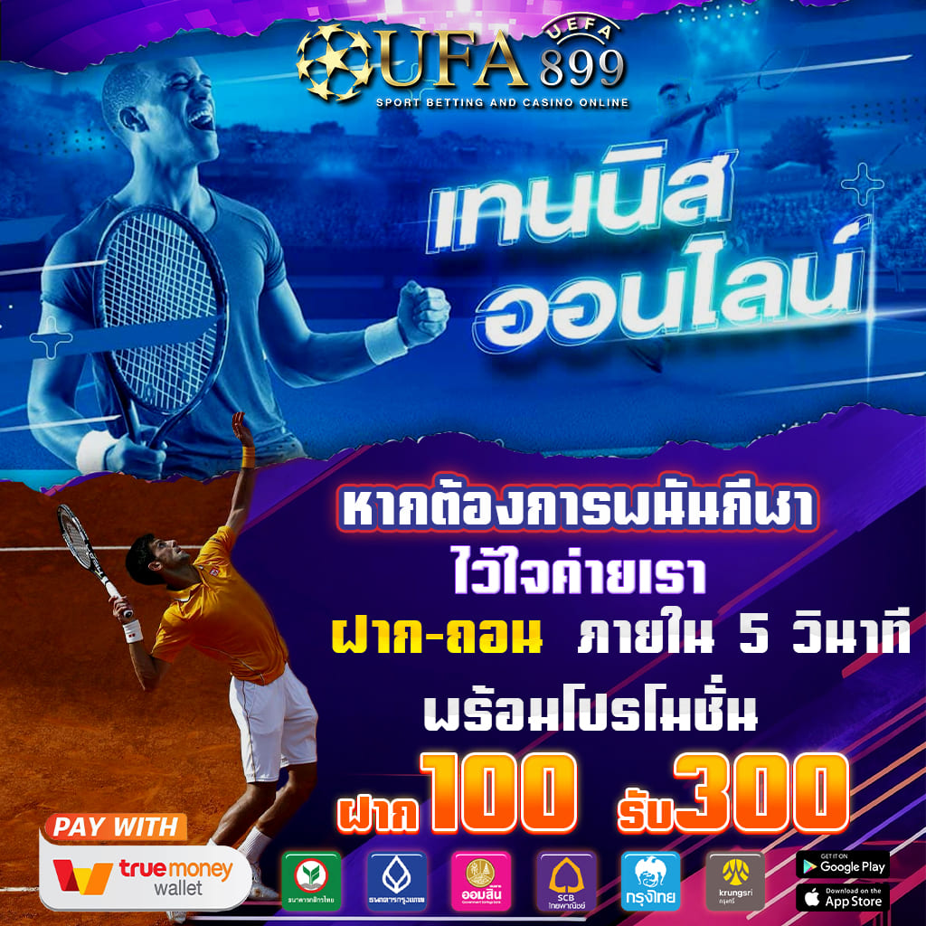 搜索优化网站排名